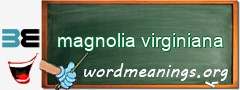 WordMeaning blackboard for magnolia virginiana